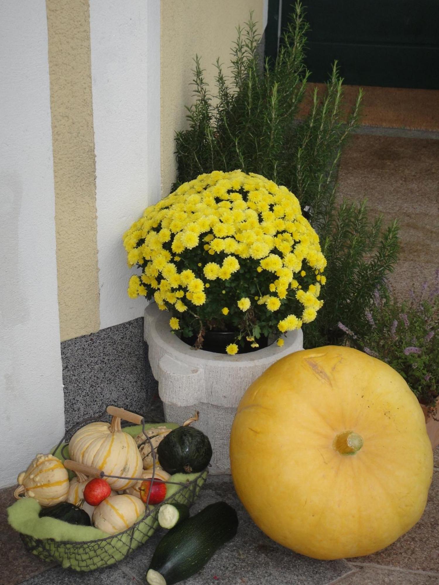 Ferienwohnung Haus Lehen Sankt Koloman Εξωτερικό φωτογραφία